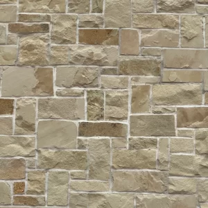 Black & Gold - Thin Veneer